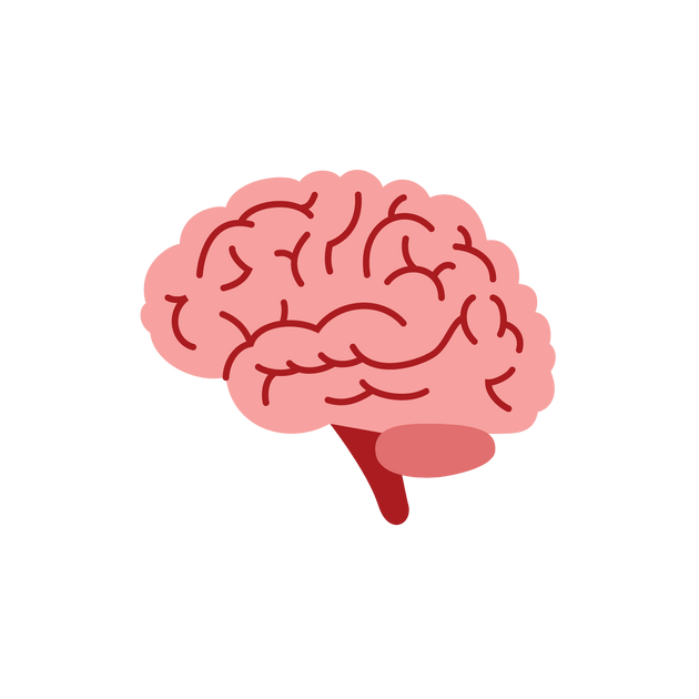 Why do we lose muscle memory? After Bar