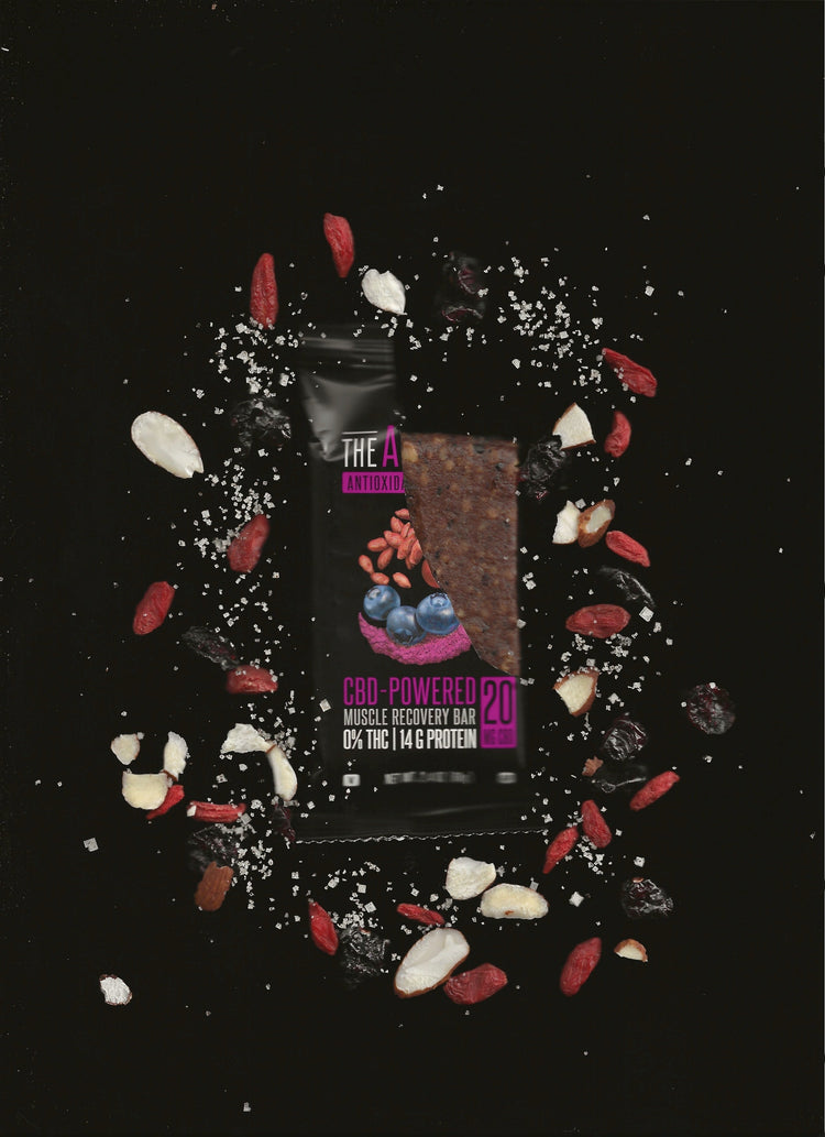 ANTIOXIDANT BERRY FUSION The After Bar