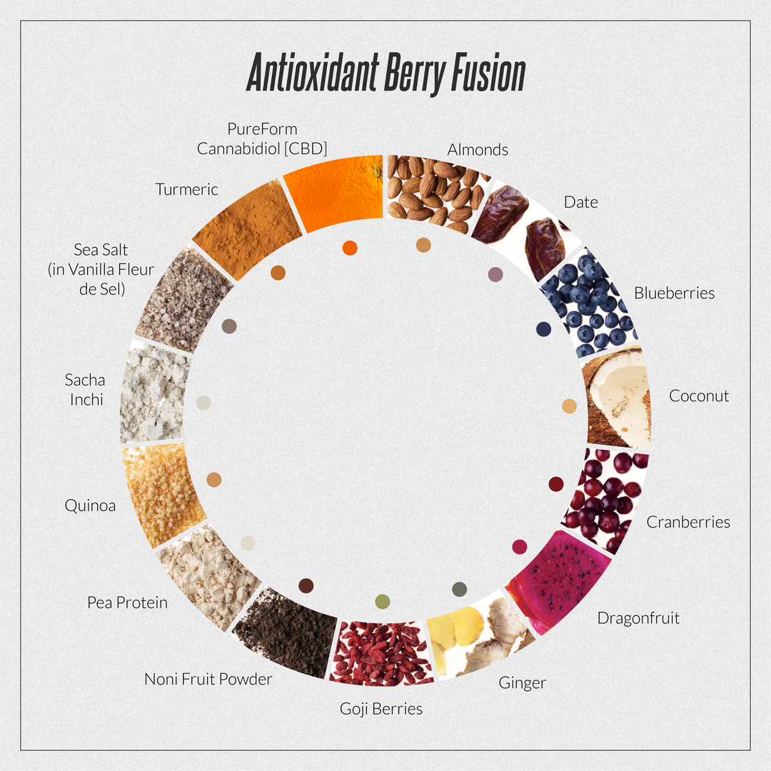 ANTIOXIDANT BERRY FUSION The After Bar